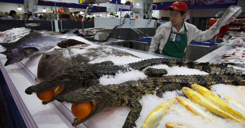 Крокодил потрошенный в русском магазине